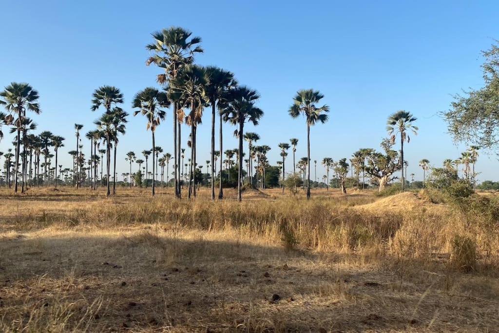 Case Beach Ngalou Sessene Bagian luar foto